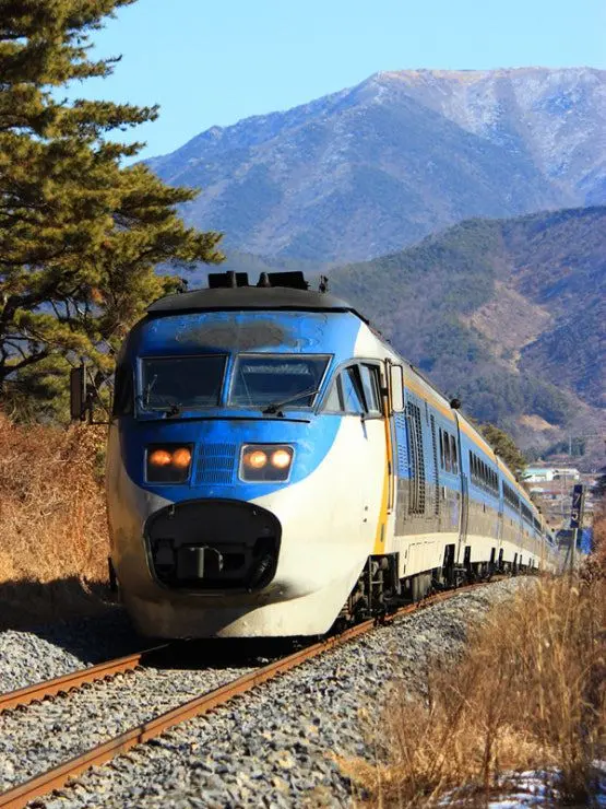 CLVR의 승무원 생존기