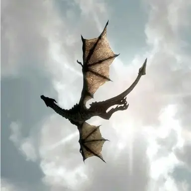 Profile image of Rowan