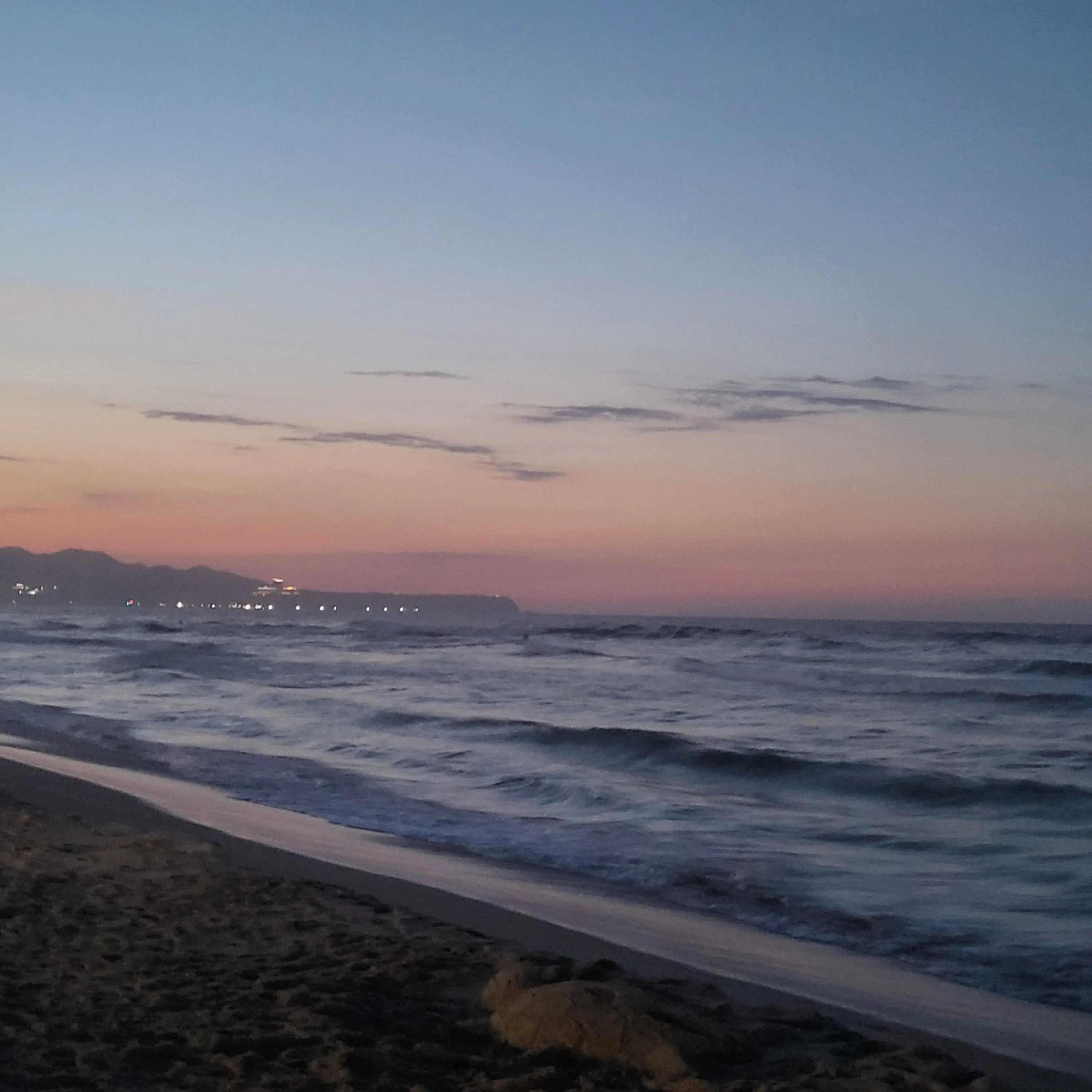 FestalKoala3538의 고등학교