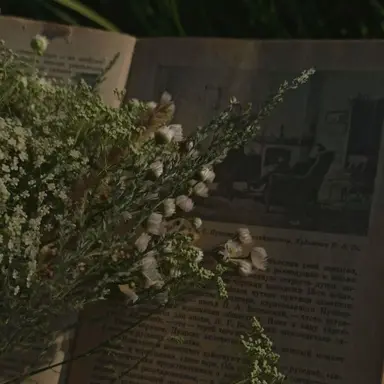 Profile image of 예엥