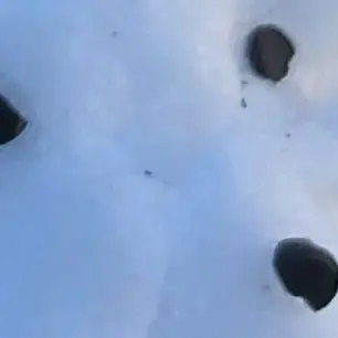 LovelyDoor5561의 한 여름의 달빛