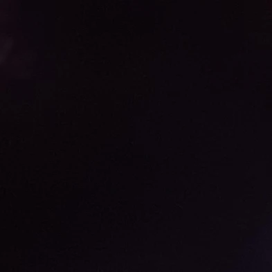 이인