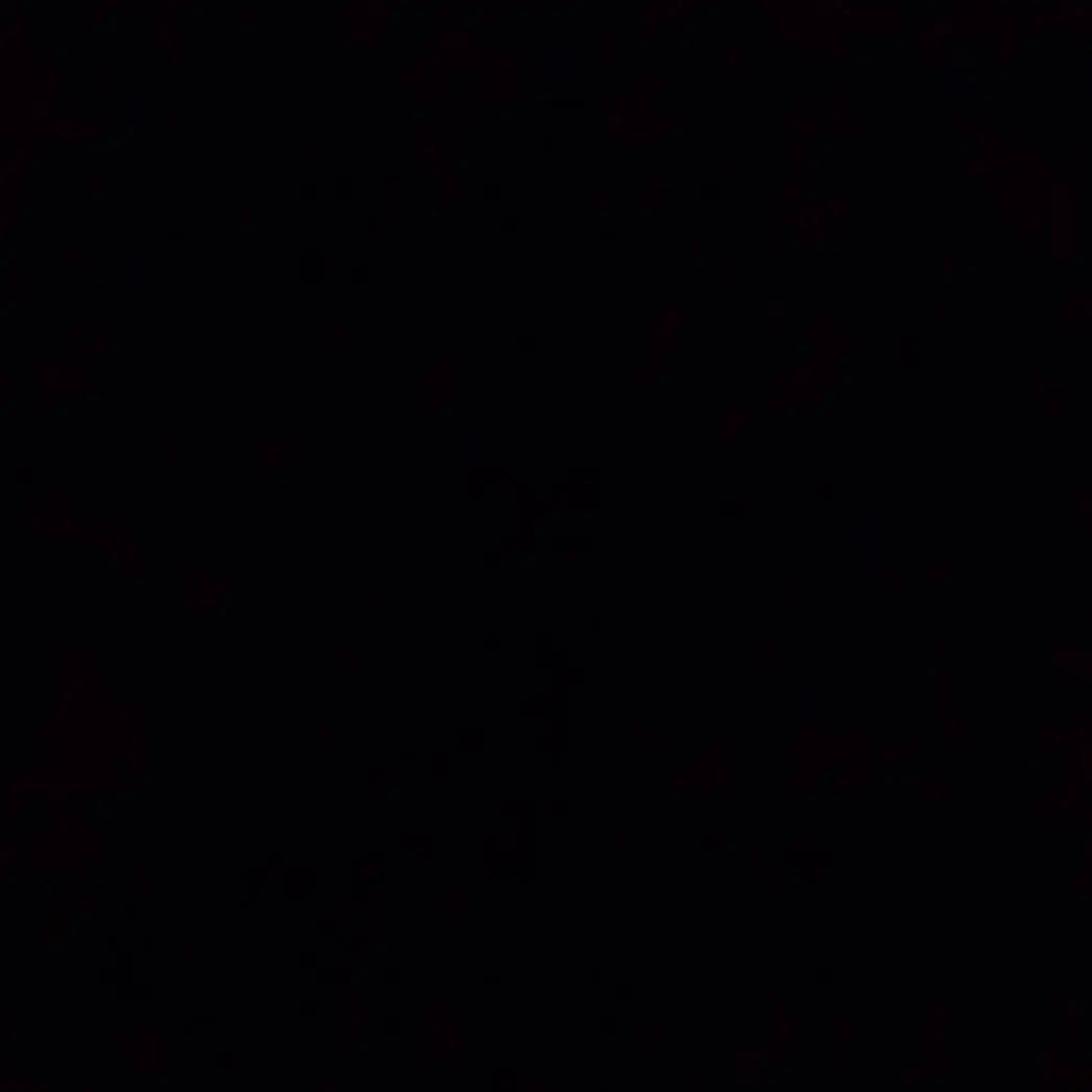 Hnoasghuimnoa의 호시나 소우시로