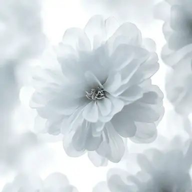Profile image of メルト