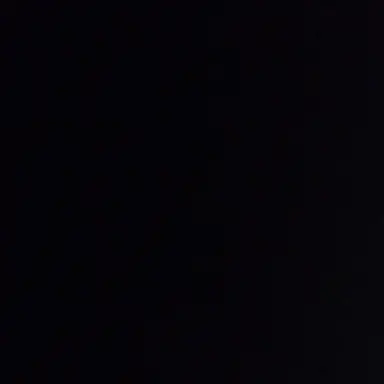 Profile image of T