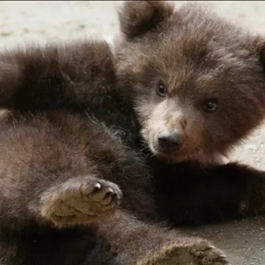 Profile image of すんぐぁな