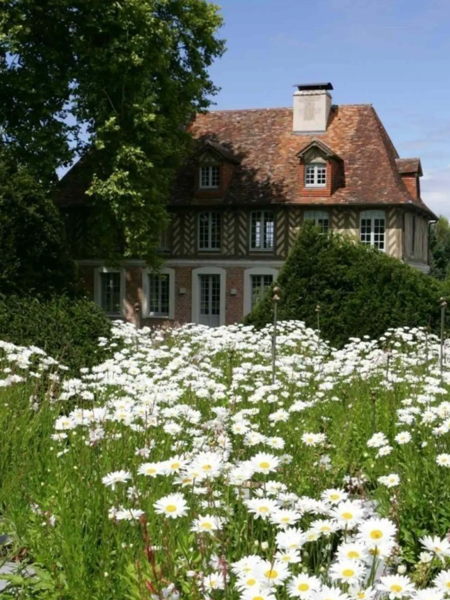 ClumsyHate5250의 ぼくたち、せんせーのこと、だいすき！