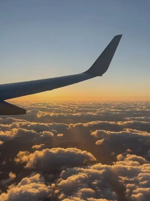 Nature_Butter의 대환장 자리배치