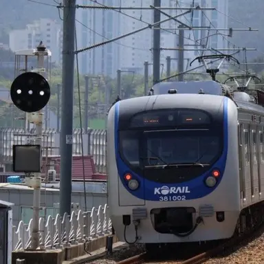 Profile image of 동해선
