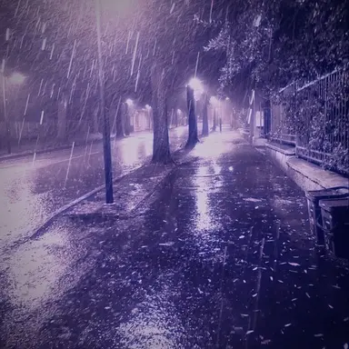 Profile image of 0107