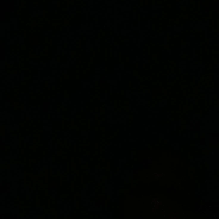 안태진