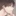 조유한