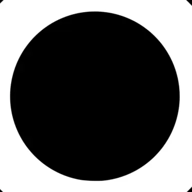 Profile image of 飛龍