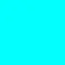 Profile image of 누트
