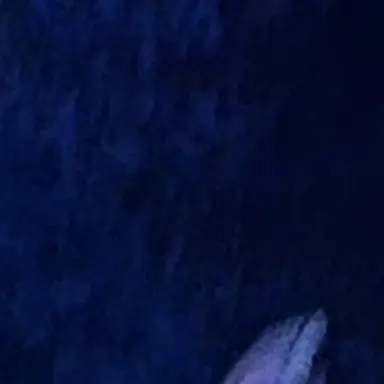 Profile image of 蓮