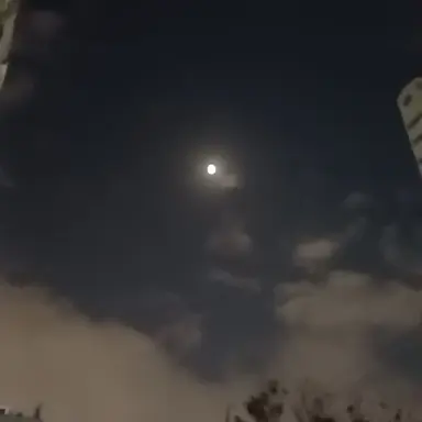 Profile image of 이수한