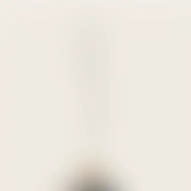 Profile image of 銀