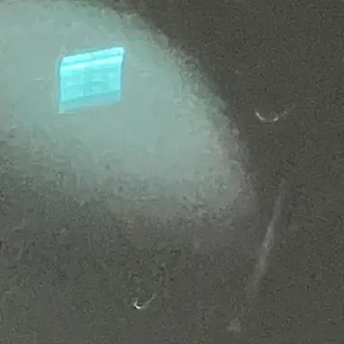 Profile image of ぶり子令嬢