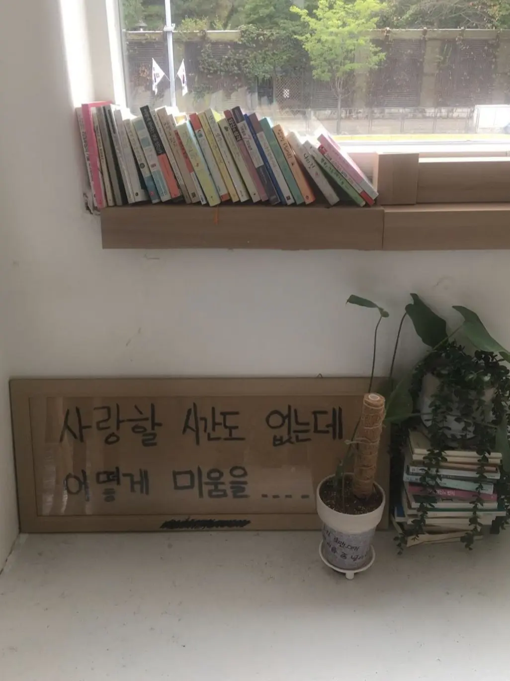 Luv_1n의 渴求