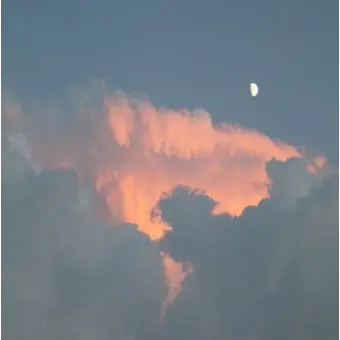 Profile image of 중국