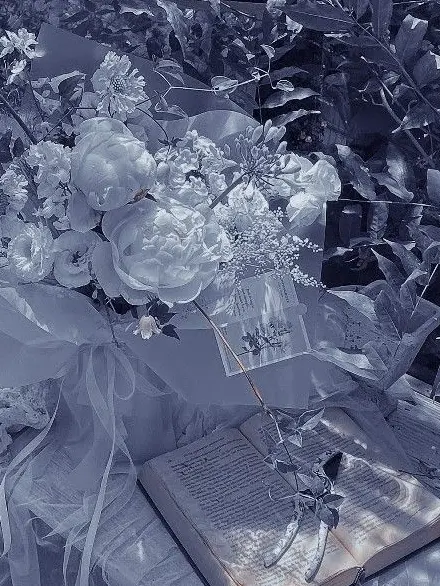 Kairaa__san의 兄が嫌い！！