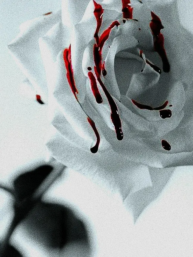 Luyen-137의 🌹