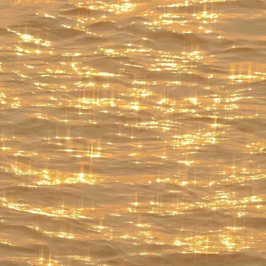 Profile image of 골드치즈