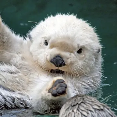 Profile image of 밴드부 모집 김준혁