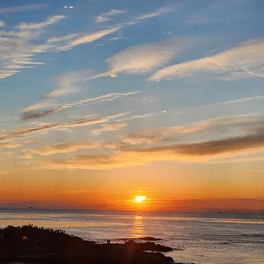 Profile image of 리쿠