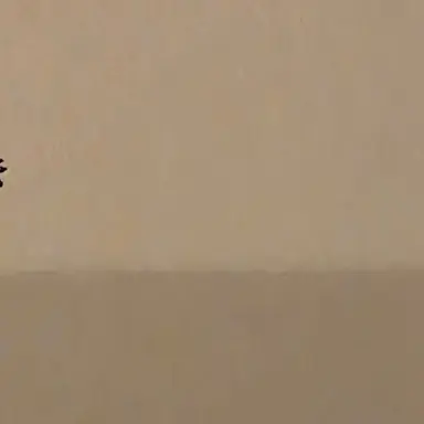 Profile image of ㅅㅈㅇ