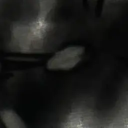 Profile image of カンヒュ達