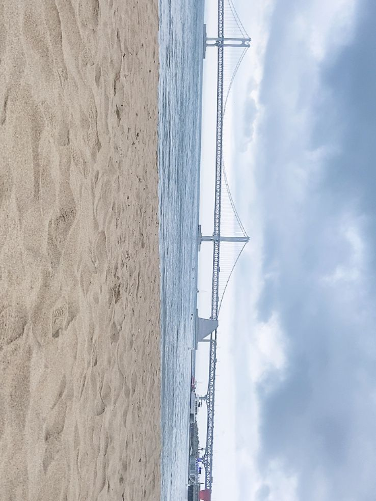 꽥탐+여우 대표 이미지