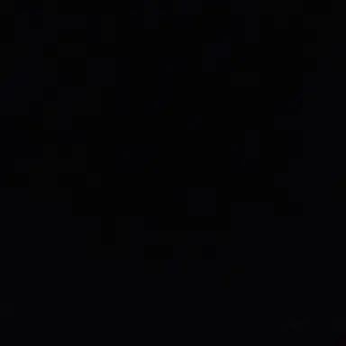 Profile image of 유주아