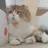 츄츄