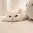 코코