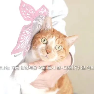 Profile image of 나나
