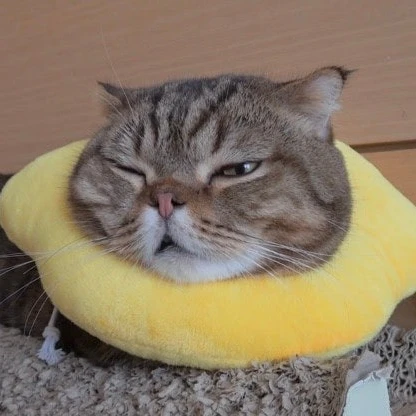 루루