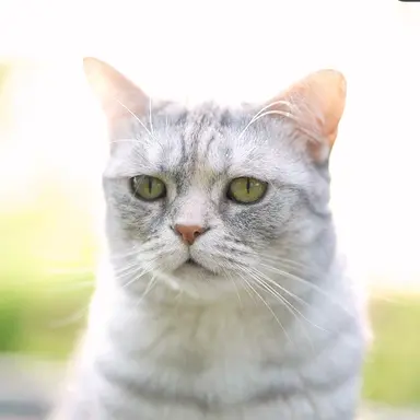 Profile image of 티티