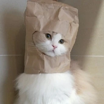 디디