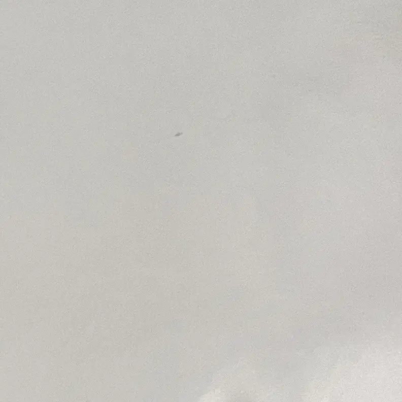 LovingTired2182의 일찐무리