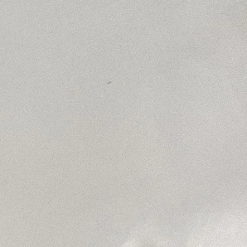 이재윤