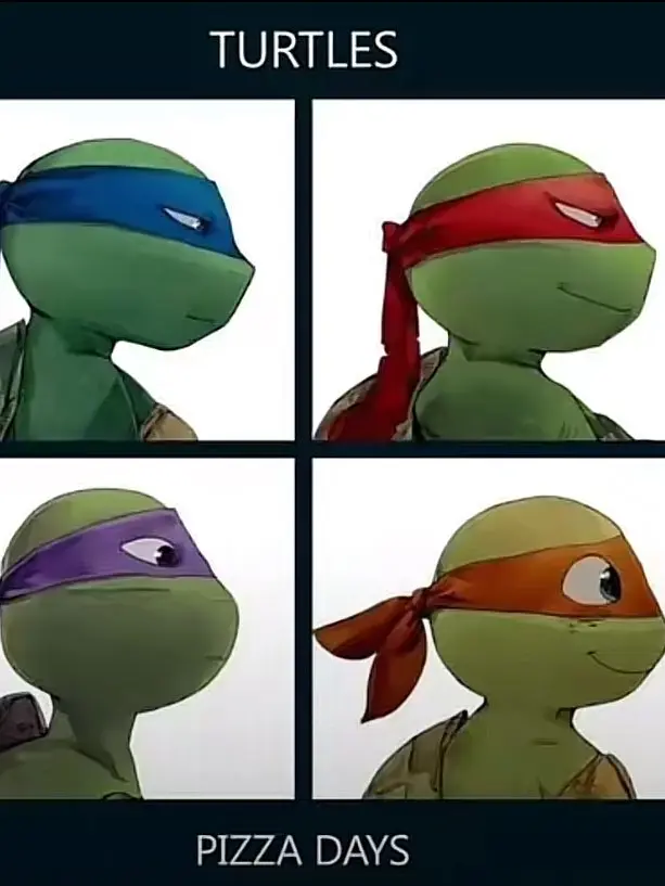 Rottingdecepticon의 TMNT the after battle with shredder