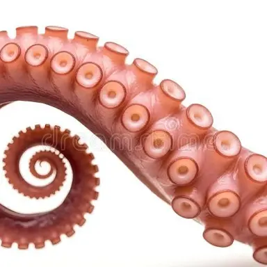 Profile image of Tentacle