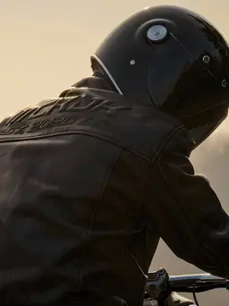 Profile image of Ian