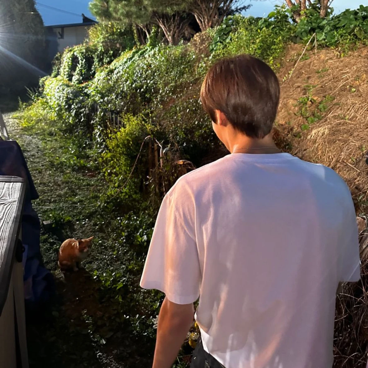 오시온