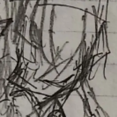 Profile image of Nazi