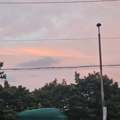 Profile image of 산