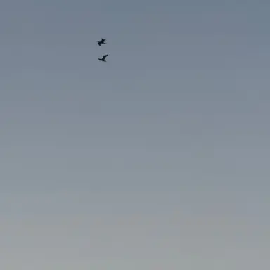 Profile image of 김민재