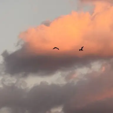 Profile image of 김민영