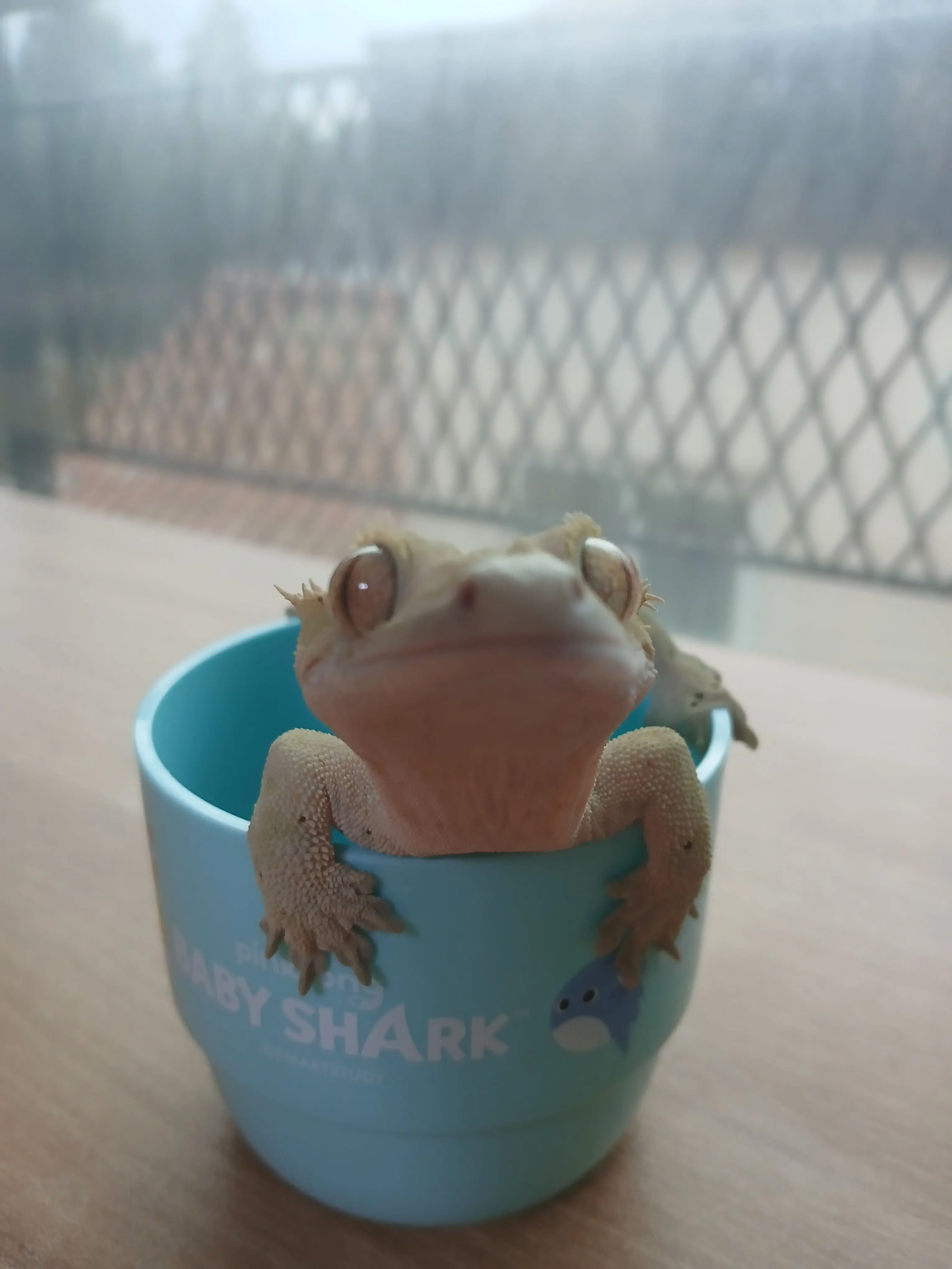 FatPetal3086의 Lethal Ape(치명적인 원숭이)